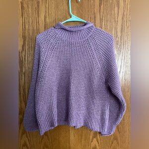 American Eagle Mock Neck Sweater